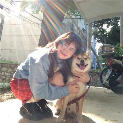 戴夫造了个迷宫