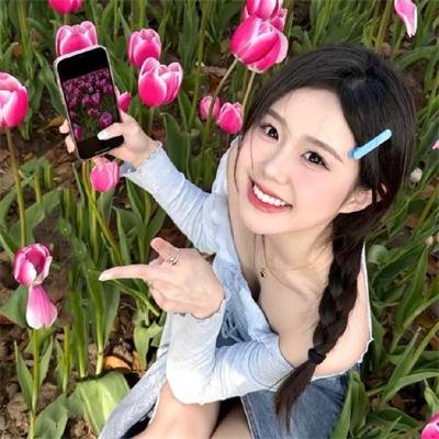 裴先生的野玫瑰